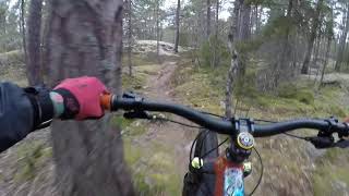 Swedish MTB Trail - Slammertoppen