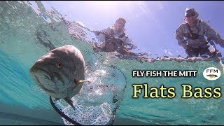 Fly Fishing Big Spring Smallmouth Bass on the...