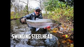 Steelhead on the Swing - Lightening...