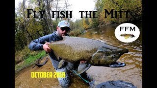 Giant Salmon, Trout and Log Jams | Fly Fish...