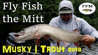 Fly Fish the Mitt | Spring Summer 2018 | Trout...