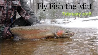 Fly Fish the Mitt | February 2018 | Michigan...
