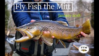 First Fish of the Year | Fly Fish the Mitt |...