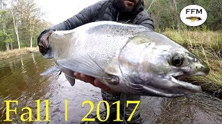 Steelhead Fishing Michigan Fall 2017 - Fly...
