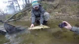 Michigan Fly Fishing - October 2015 Review