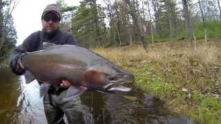 Fly Fishing Fall Steelhead 2013