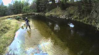 Steelhead School(ed)