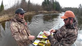 FFM 1st Six Months 2012 - Michigan Trout and...