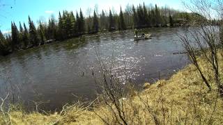 Brown Beat Down - Fly Fishing Northern Michigan