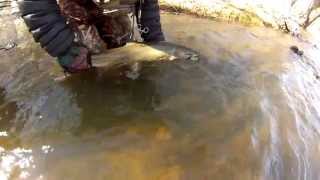 Still Winter - Steelhead Fishing West Michigan