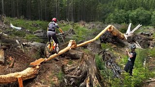 This Trail Is Narrower Than Your Tire