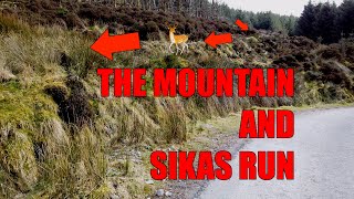 The Mountain and Sikas run