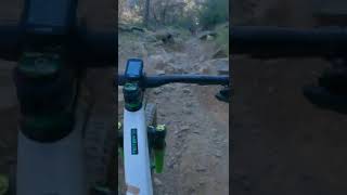 Testing Versus Tires