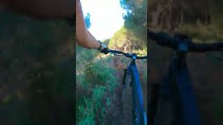 MTB Minute: Padme Line