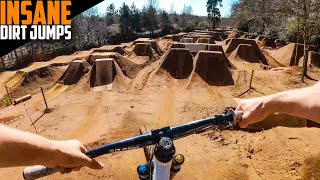 THESE MTB DIRT JUMPS ARE INSANE NOW!! INSTA360...