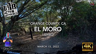 MTB Riding Lizard at El Moro, March 13, 2022