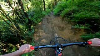 New Entry @ Oropi Mountain Bike Park. Tauranga