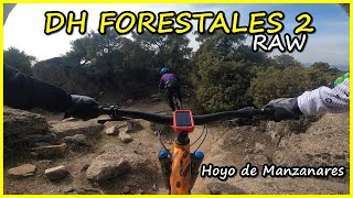 RAW | DH Forestales 2 | LIVING ENDURO MTB