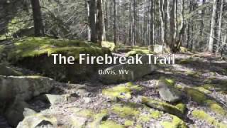 The Firebreak Trail