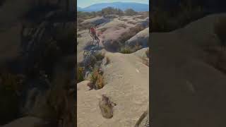 Alternate lines on Spanish slick rock! #shorts