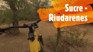 Sucre - Riudarenes