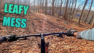 Dickerson Mine Preserve NJ MTB Flow