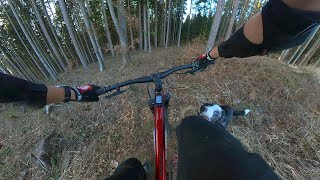 HoksBike