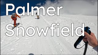Palmer Snowfield