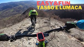 Easy&Fun#4 - Tasso e Lumaca
