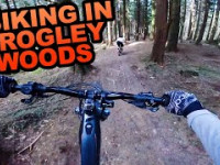 E-BIKING IN GROGLEY WOODS!!!