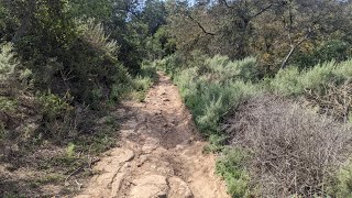 Wildwood Access Trail - Mountain Biking -...