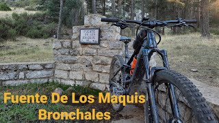 Fuente de los Maquis, Bronchales