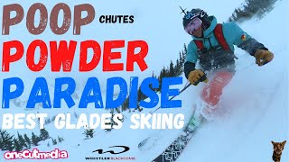 BEST Glades Skiing  at WhistlerBlackcomb,  ...