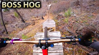 Fun Freeride Trail! - 'Boss Hog'