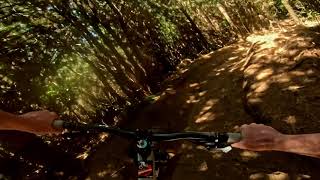 Track the Ripper @ Mangamahoe MTB Park. Taranaki