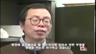 20080430 KOMU NEWS