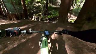 Old Cabin & Rodrigo Trails - Wilder Ranch,...