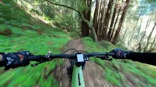 Enchanted Loop Santa Cruz Ca Video Trailforks