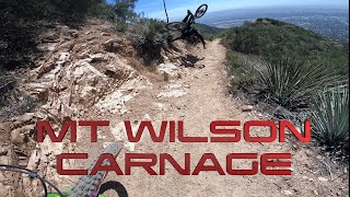 Mt Wilson Hits Back / Carnage Down 'Frontside'...
