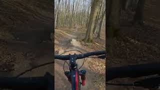 Mountain bike home trail jumps  | #Shorts