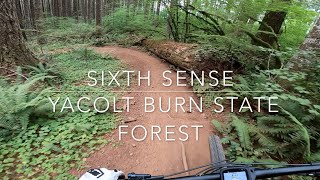 Sixth Sense - Yacolt Burn State Forest - Larch...