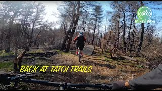 Back @ Tatoi! MTB in Greece!