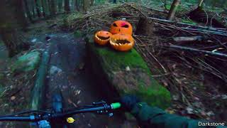 Let's Ride MTB - Heidelberg // Königstuhl -...