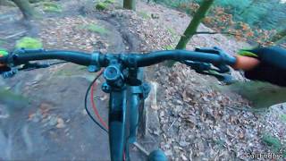Let's Ride MTB - Heidelberg // Königstuhl -...