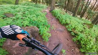 Let's Ride MTB - Heidelberg // Königstuhl -...