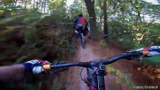 Let's Ride MTB - Pfalz // Eckkopf Rotes...