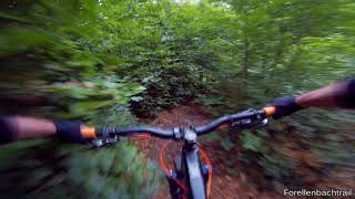 Let's Ride MTB - Heidelberg // Königstuhl -...