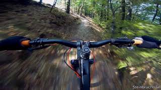 Let's Ride MTB - Heidelberg // Weißer Stein -...