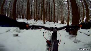 Let's Ride MTB - Heidelberg // Königstuhl -...