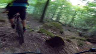 [Test] Handlebar Mount - Schwedentrail...